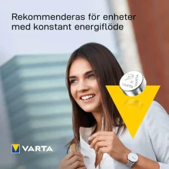 BATTERI V13GS SILVER MYNT