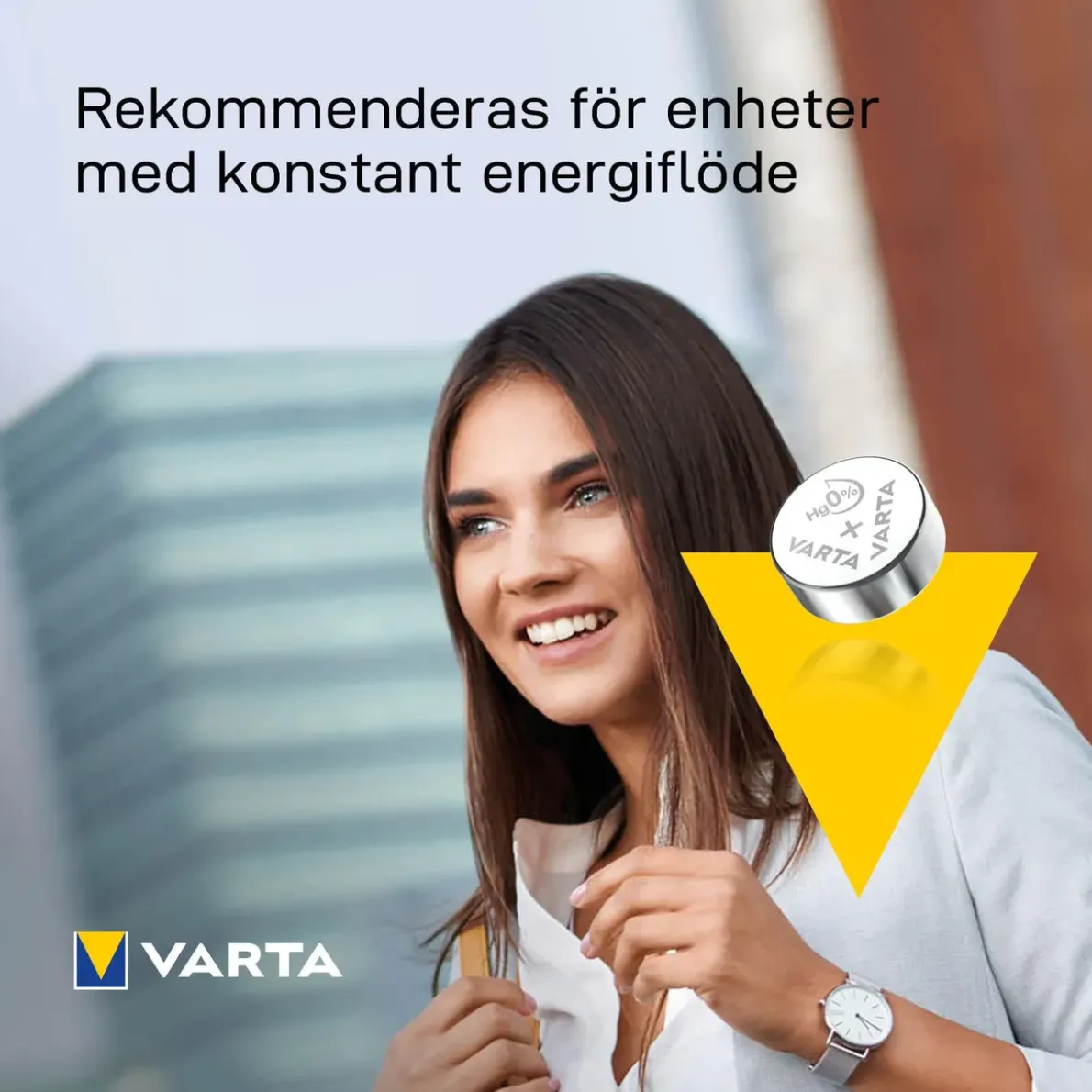 BATTERI V13GS SILVER MYNT