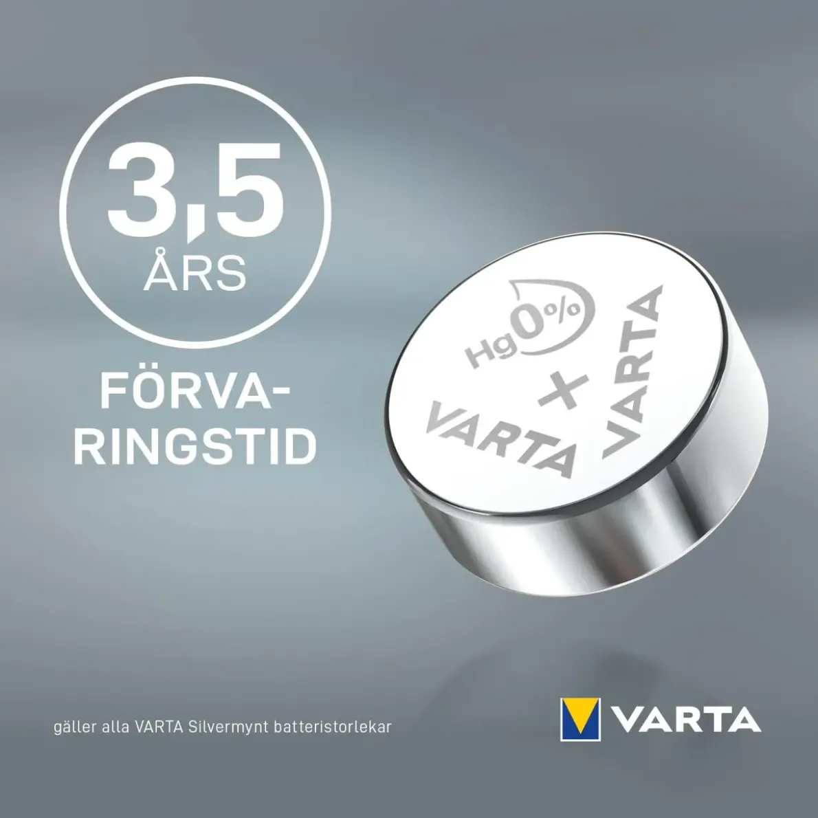 BATTERI V13GS SILVER MYNT