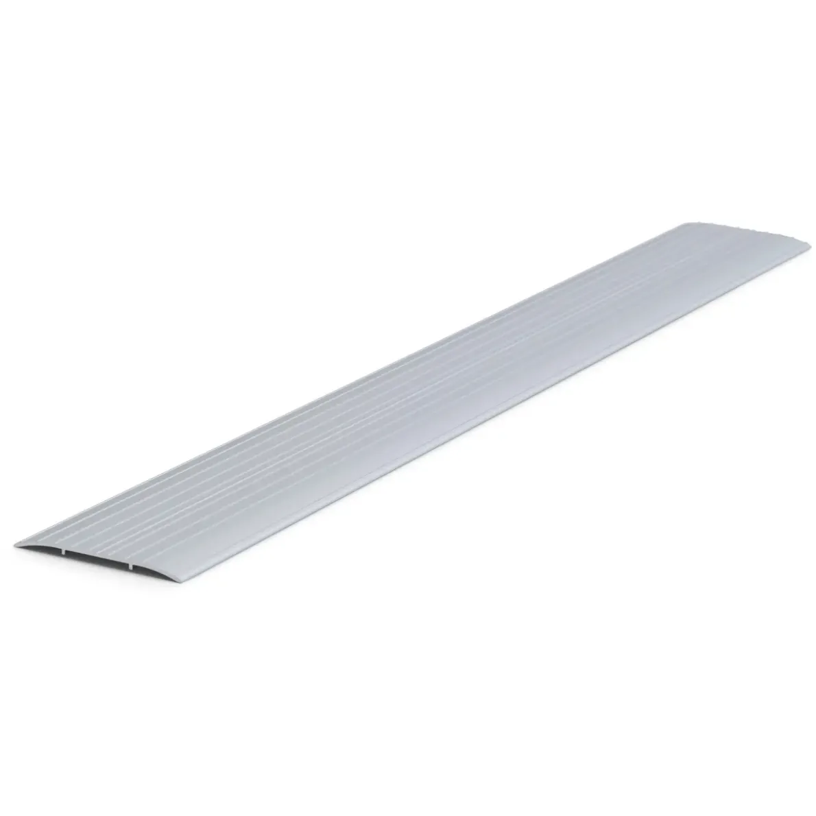 DÖRRTRÖSKEL SILVER 100X1000MM