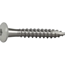 RÄNNKROKSKRUV ROSTFRI A2 VIT RAL9010 TX20 4,8X35 20ST