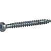 TRÄSKRUV INDU-PROG FZB TX30 6X65 8ST 10003687