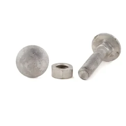 VAGNSBULT/MUT MVBF ZI/FL DIN 603/555 KULLRIG M6X30MM 6ST